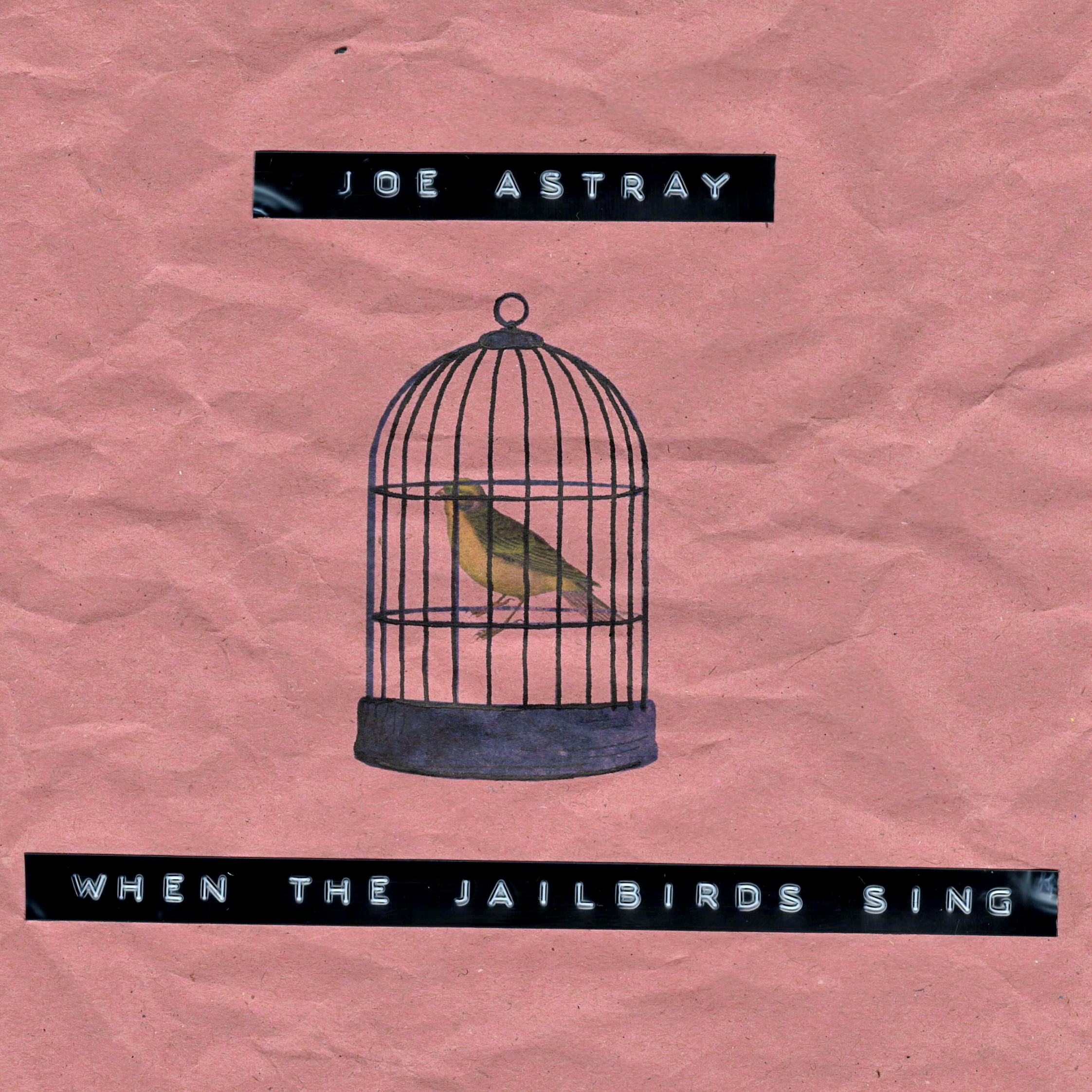 Mehr über den Artikel erfahren New Single Out Now: When the Jailbirds Sing